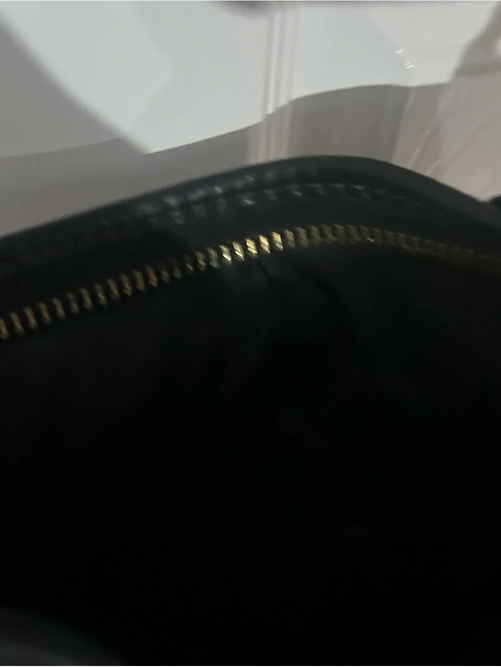 Coach sleek hobo